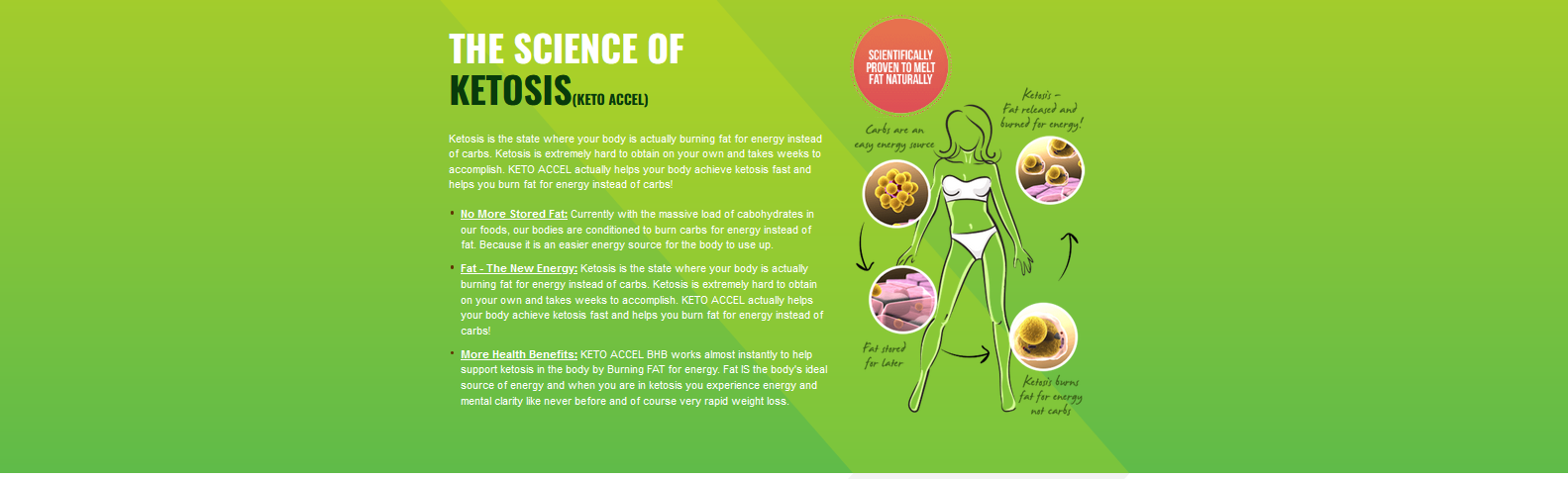 Keto-Accel- ingredients